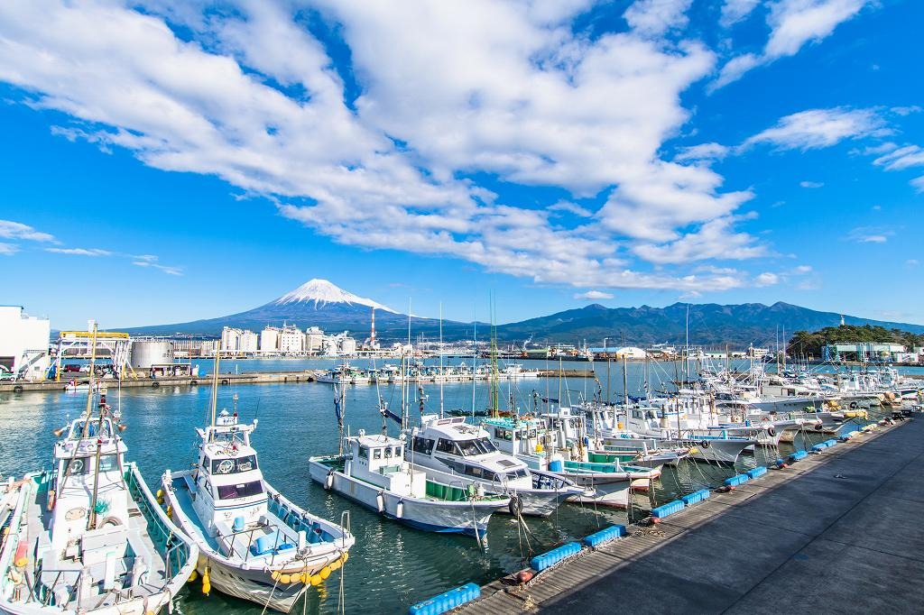 全国から新鮮な魚介類を入荷