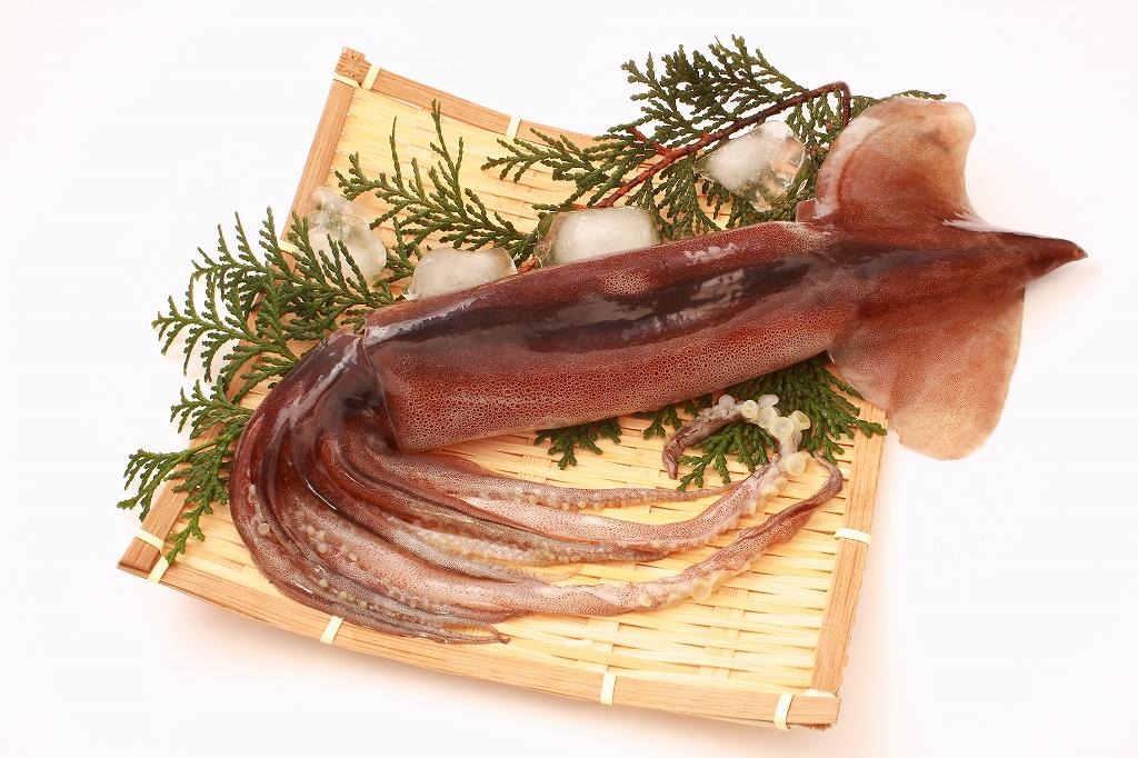 卸売だからこそのコストパフォーマンス