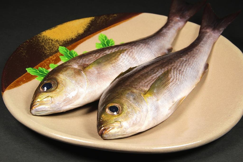 新鮮な魚介類をご自宅で